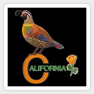 California quail state bird Californian poppy flowers Magnet